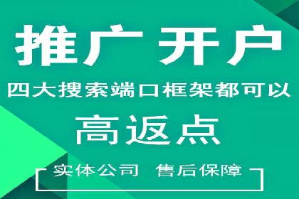 百度SEM竞价案例：揭秘高效广告投放策略